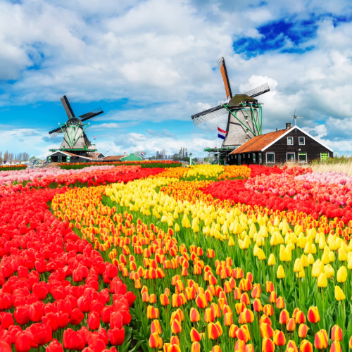 Netherlands