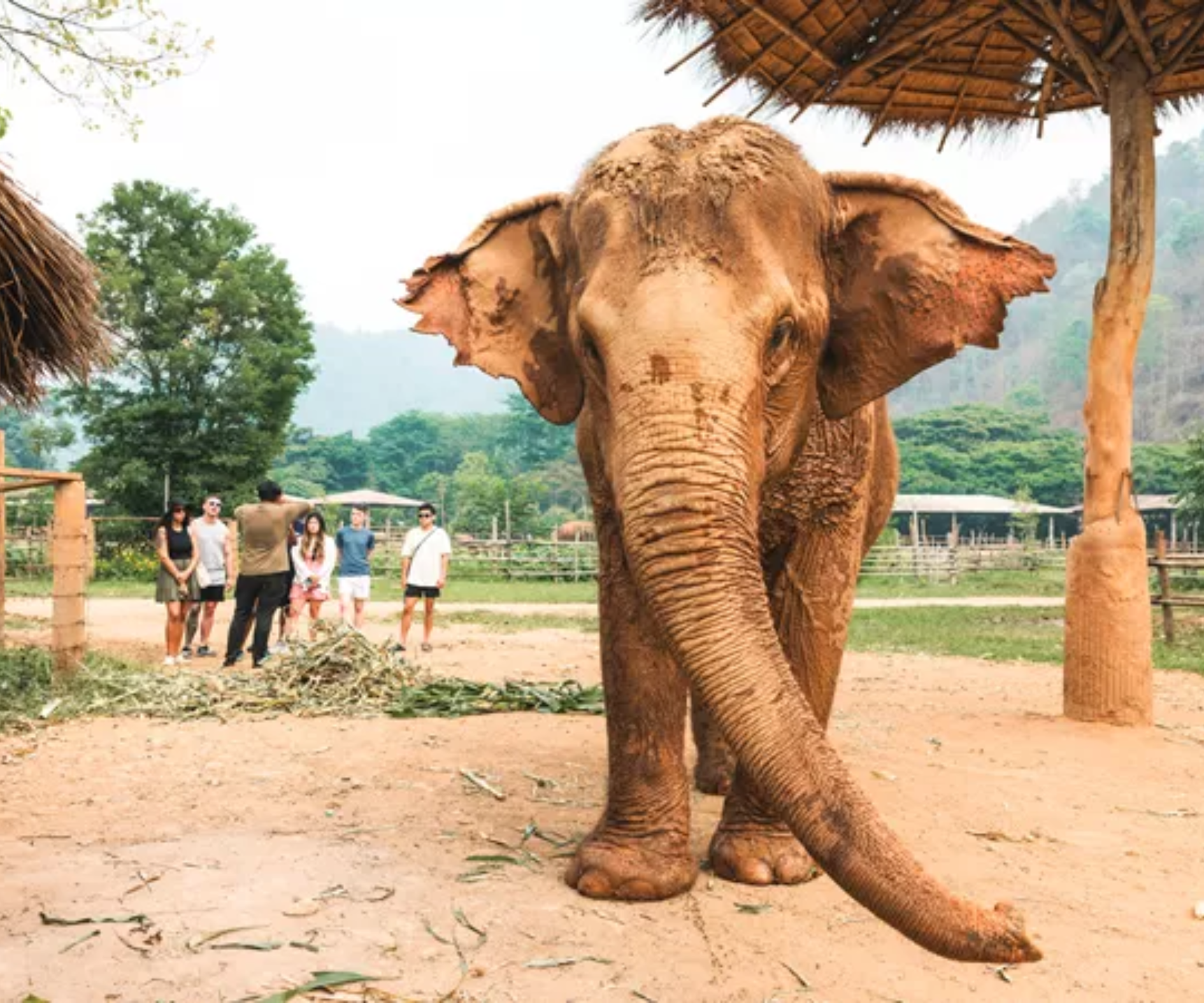 Northern Thai Highlights - Image 3