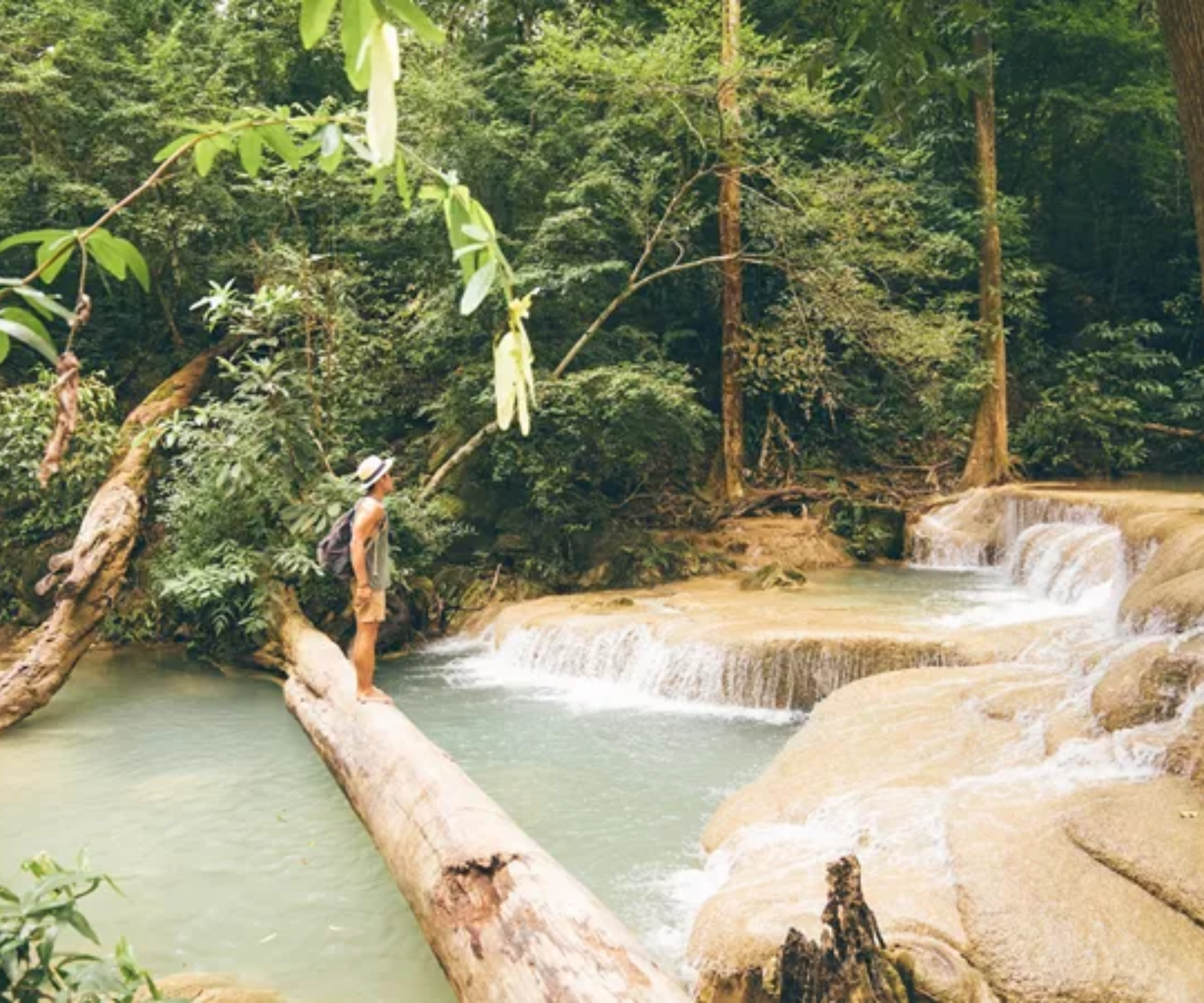 Total Thailand - Image 3