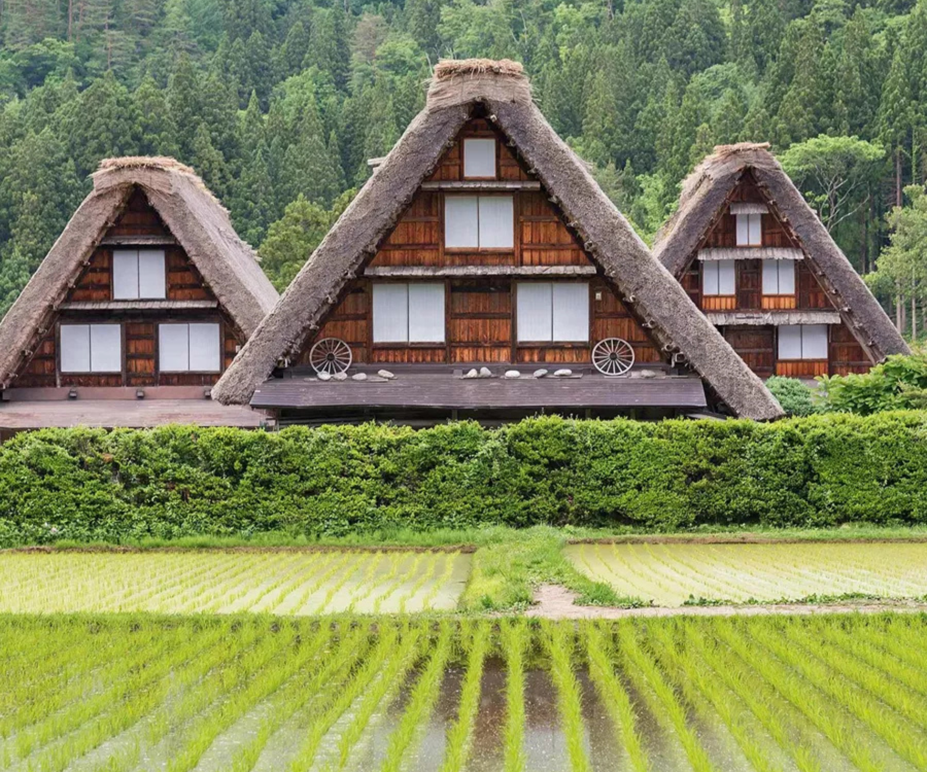 Splendours of Japan - Image 2