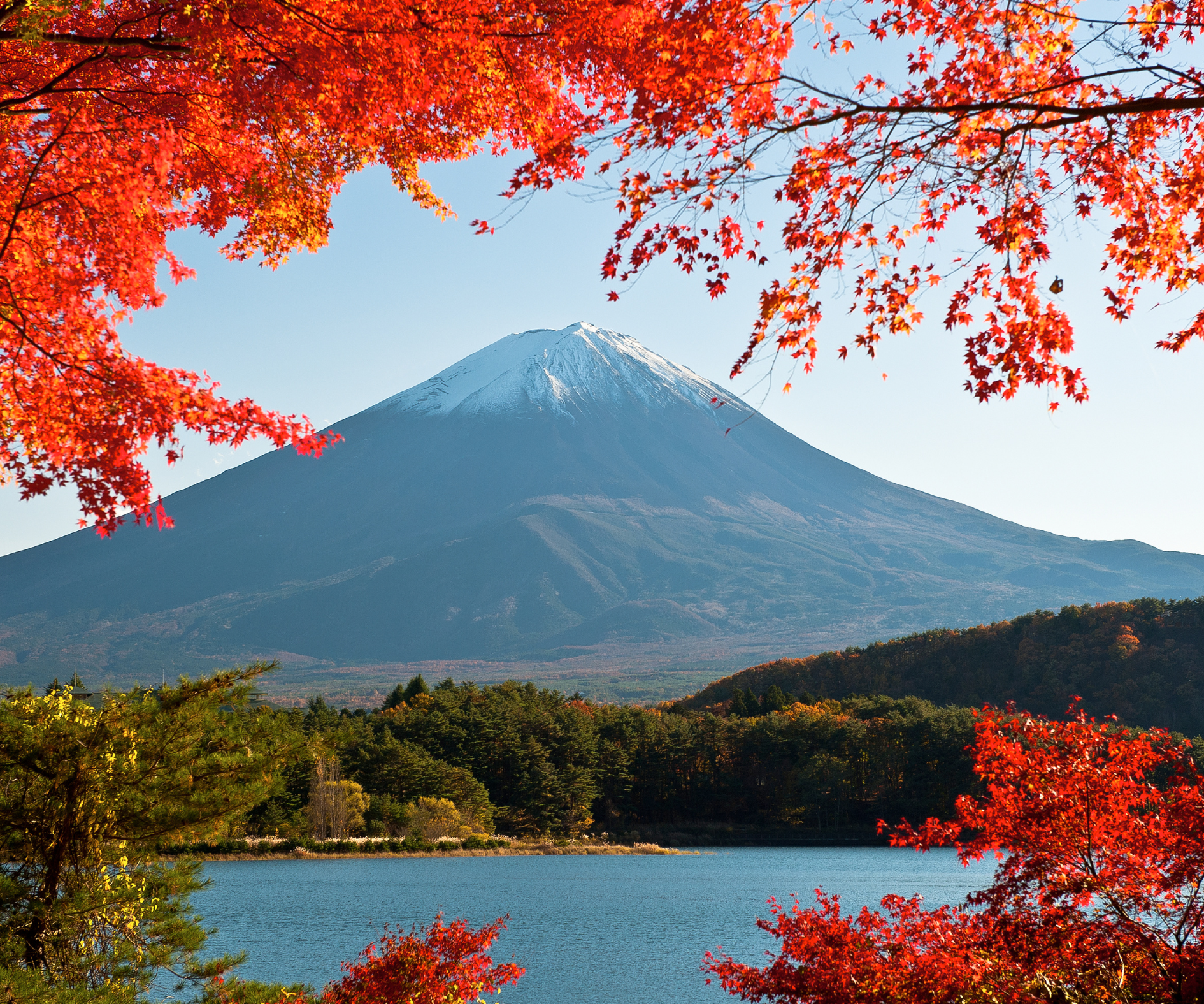 Splendours of Japan - Image 3