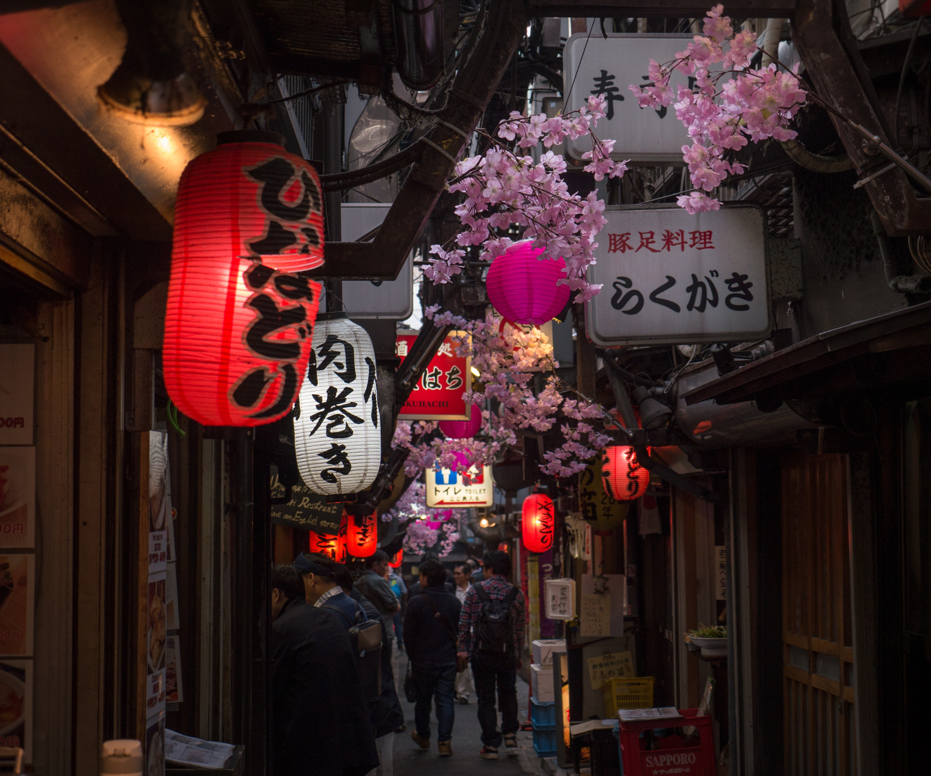 Splendours of Japan - Image 4