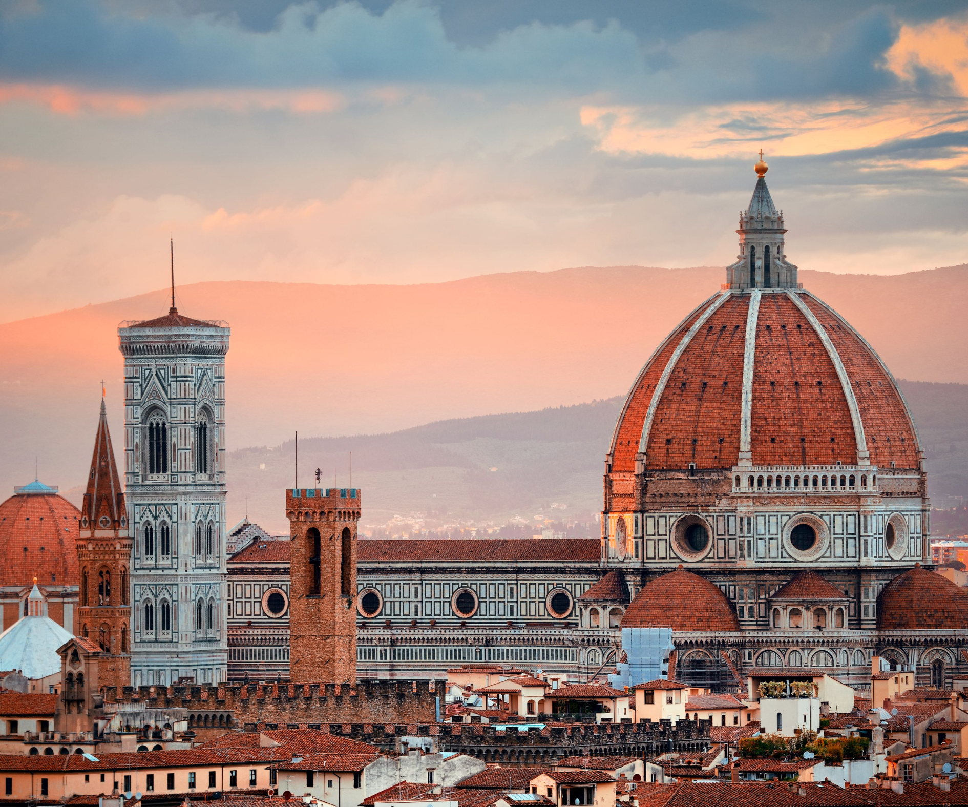 European Whirl - Image 5