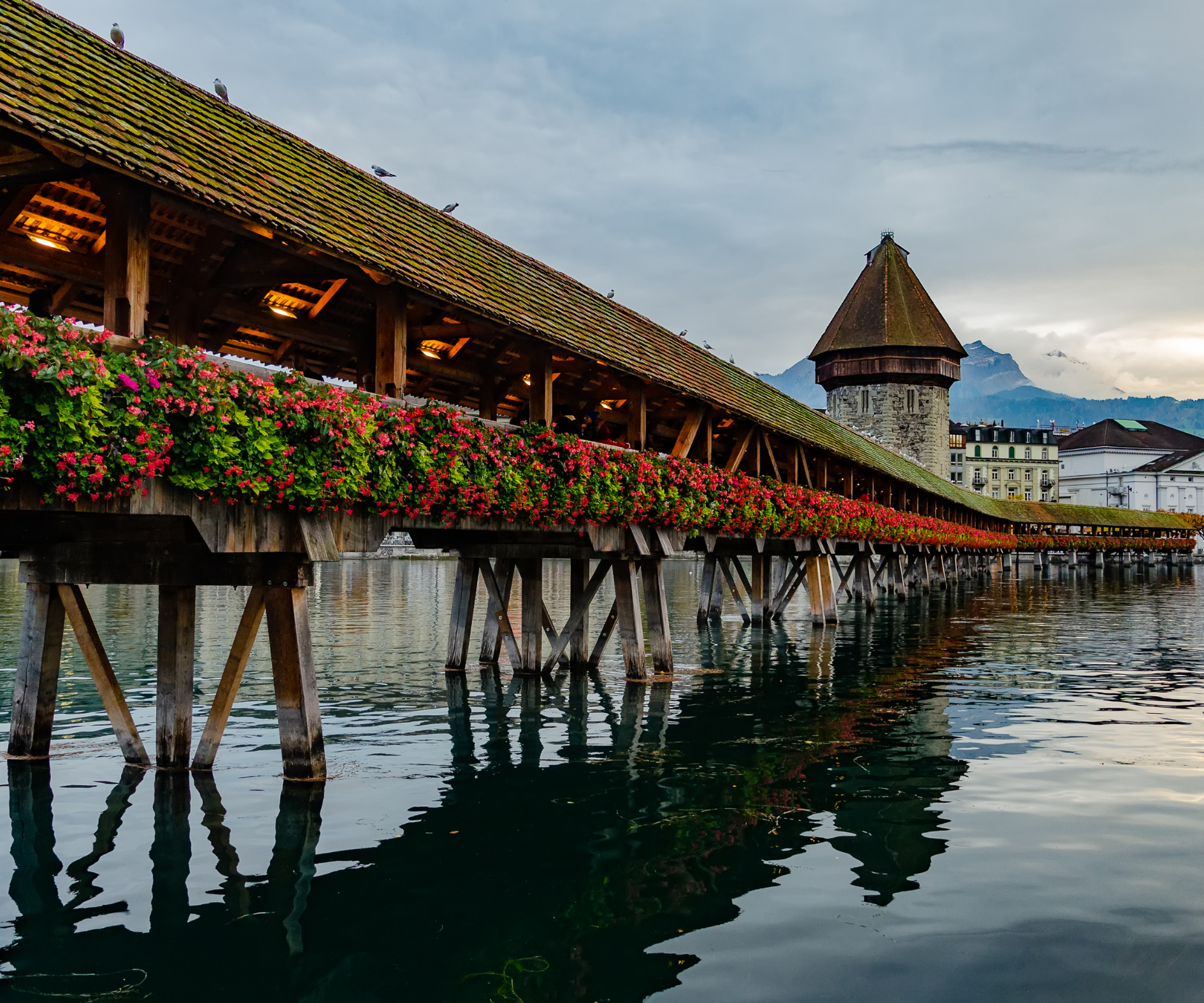 European Whirl - Image 6