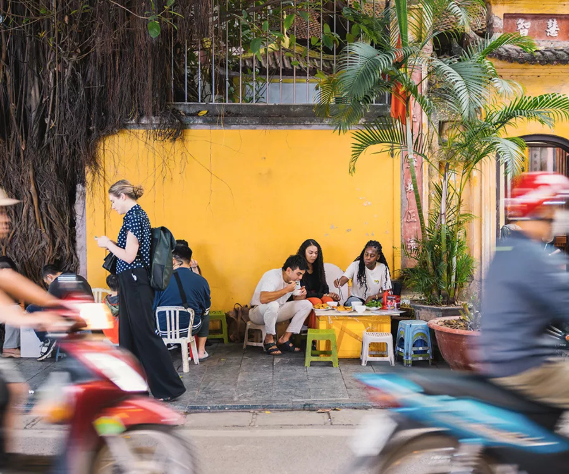 Vietnam Highlights