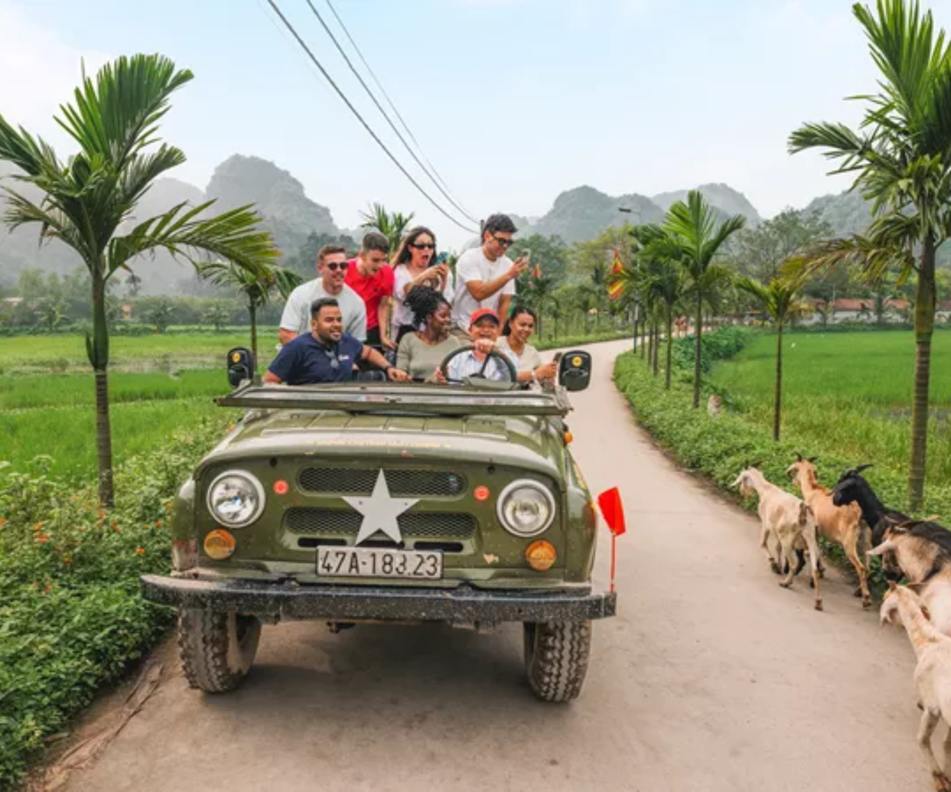 Vietnam Highlights - Image 7